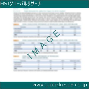 グローバルリサーチ調査レポートのイメージ